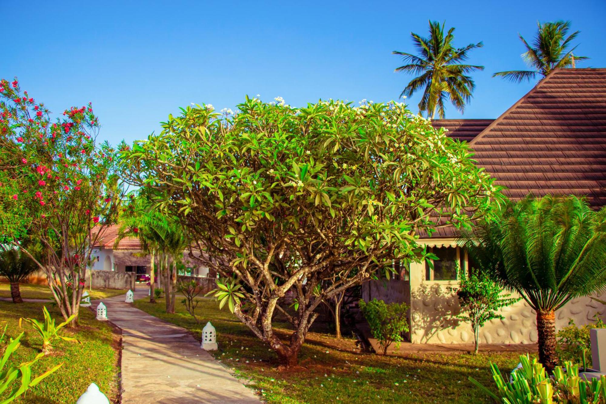 Mandarin Resort Zanzibar 基济姆卡济 外观 照片